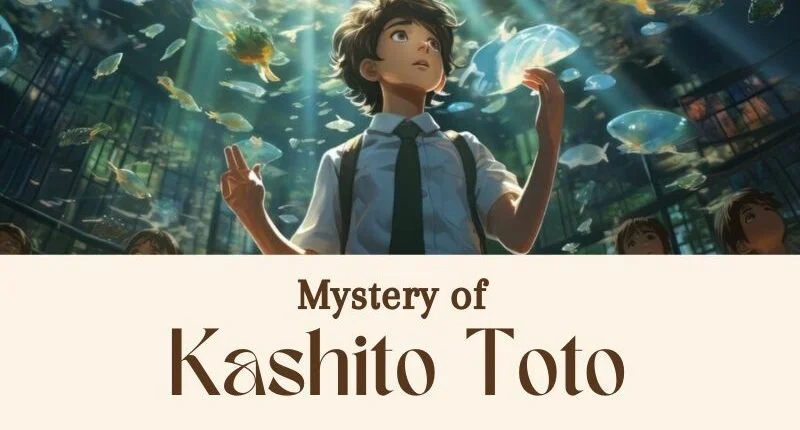 Unraveling the mystery of Kashito_Toto